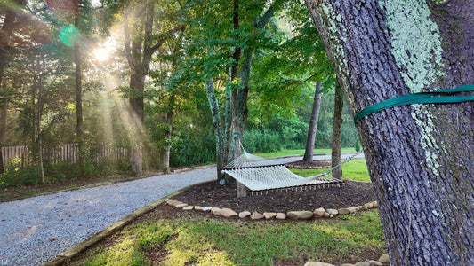 A white rope hammock hanging empty outdoors on a summer afternoon
