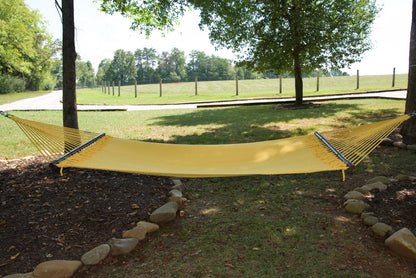Yellow Double Caribbean Hammock hung between two trees in a backyard