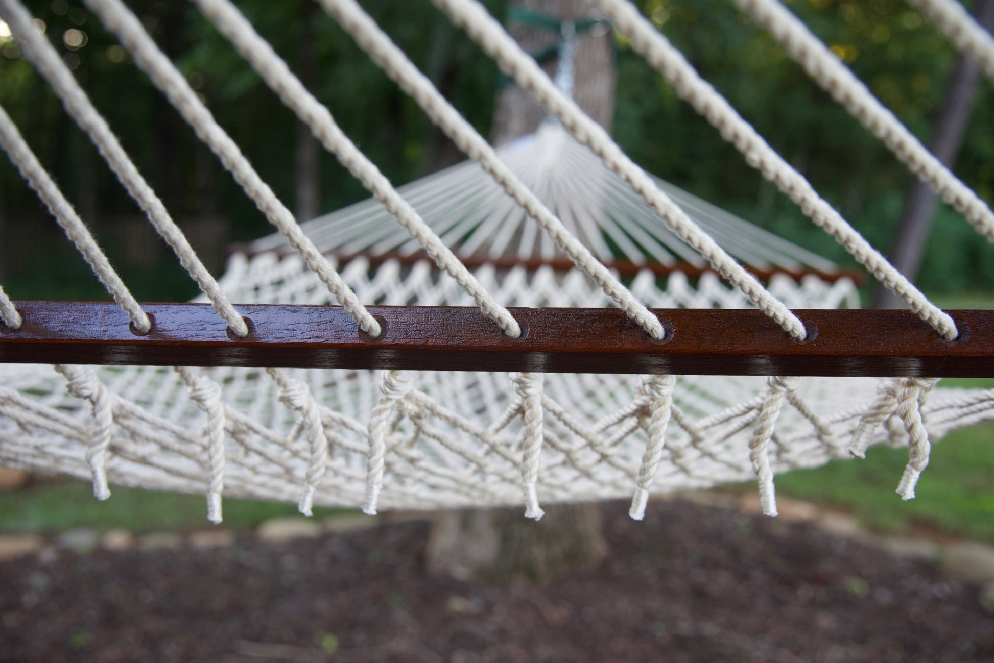Hardwood spreader bar on a cream Island Escape hammock with suspension cords above and knotted cord ends below