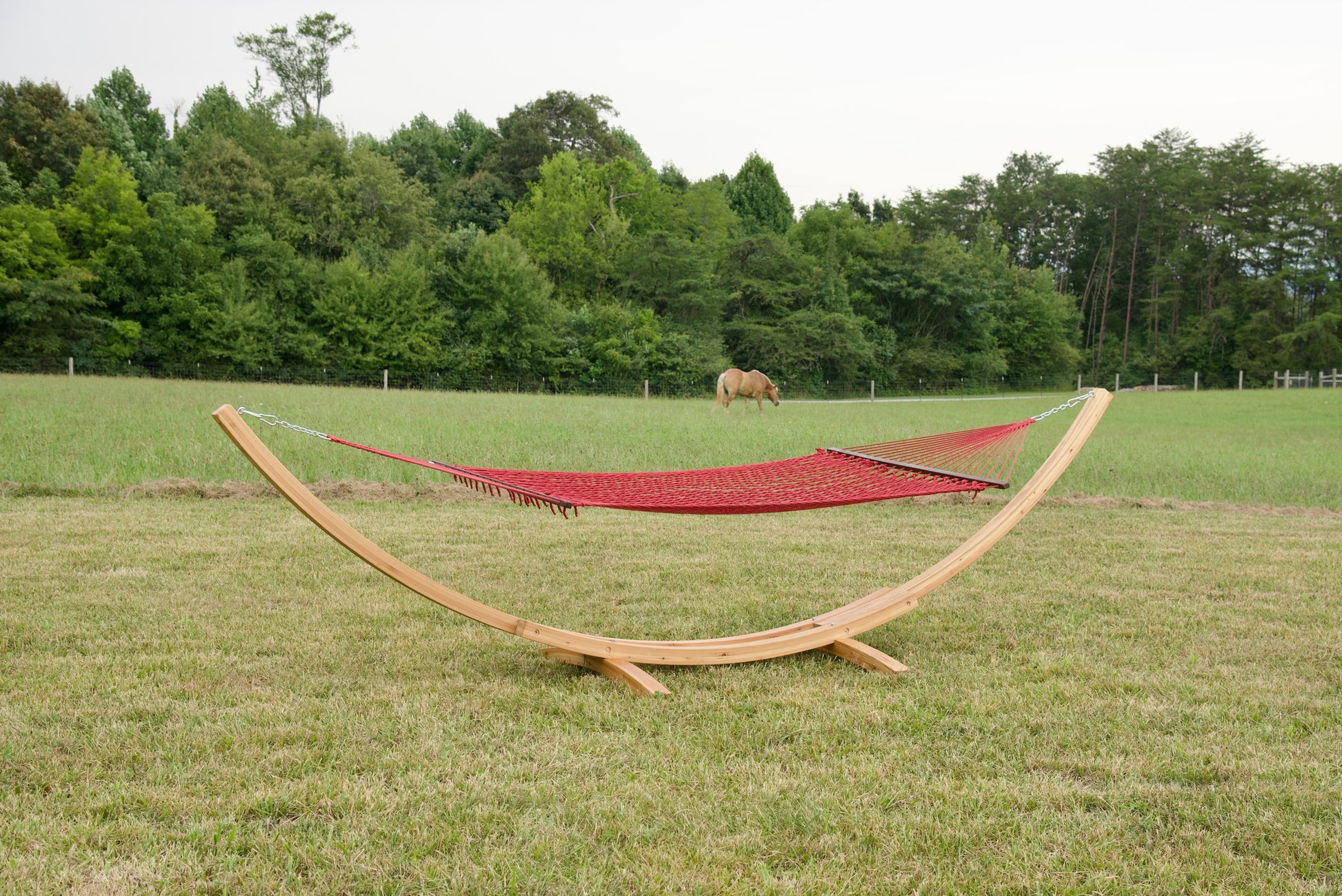 Red Island Escape hammock hanging on the Wood Arc Hammock Stand in a pasture with a horse grazing behind