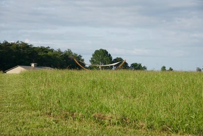 Cream Island Oasis hammock on the Wood Arc Hammock Stand seen across a tall grass field