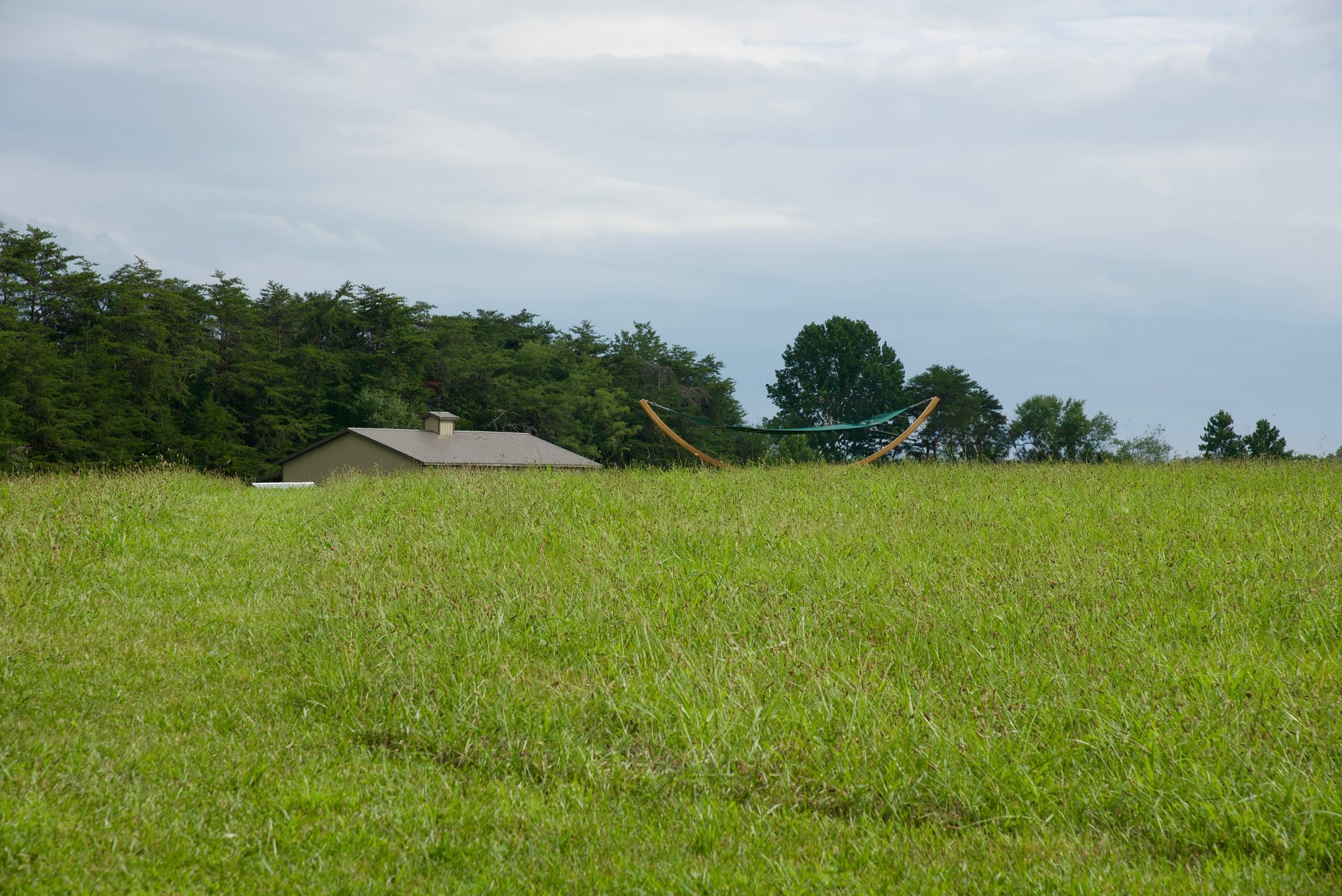 Green Island Oasis hammock on the Wood Arc Hammock Stand seen across a grassy field