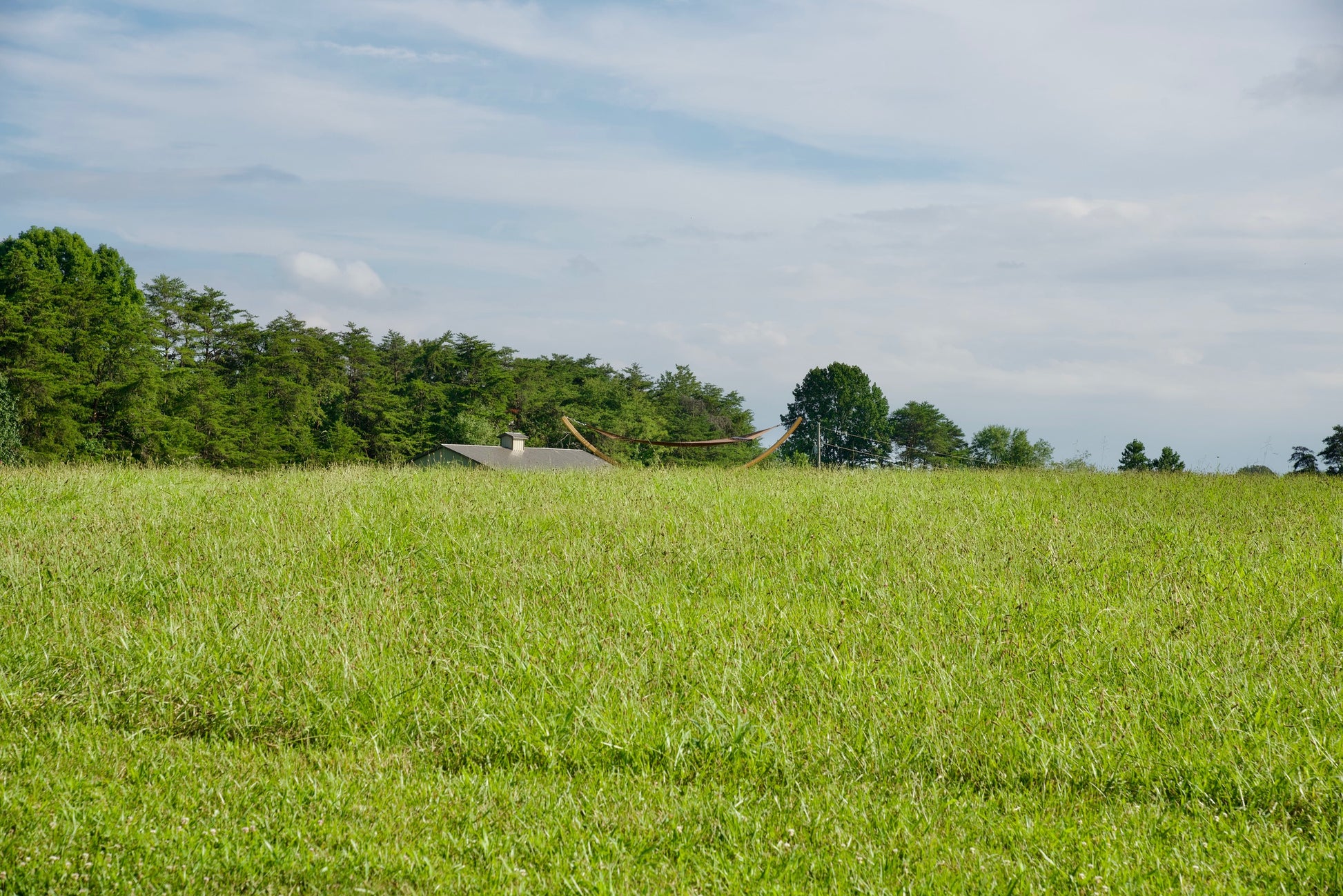 Mocha Island Oasis hammock on the Wood Arc Hammock Stand seen across a grassy field