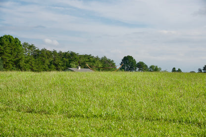 Mocha Island Oasis hammock on the Wood Arc Hammock Stand seen across a grassy field