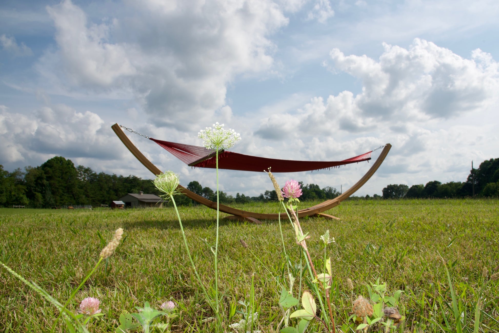 Red Island Oasis hammock on the Wood Arc Hammock Stand seen low through wildflowers in a grassy field