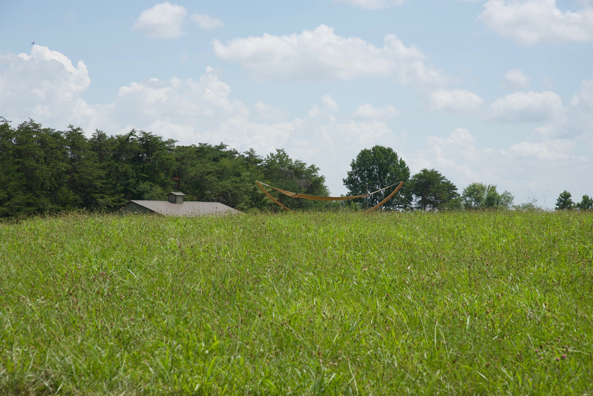 Tan Island Oasis hammock on the Wood Arc Hammock Stand seen across a grassy field