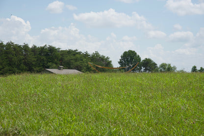 Tan Island Oasis hammock on the Wood Arc Hammock Stand seen across a grassy field