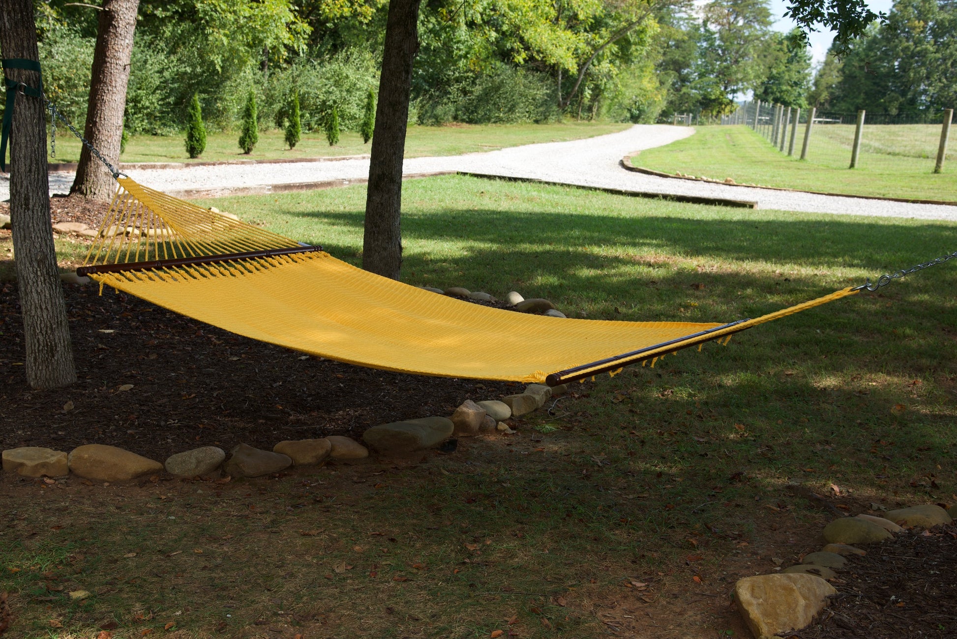 Yellow Jumbo Caribbean Hammock hanging between two trees in a backyard