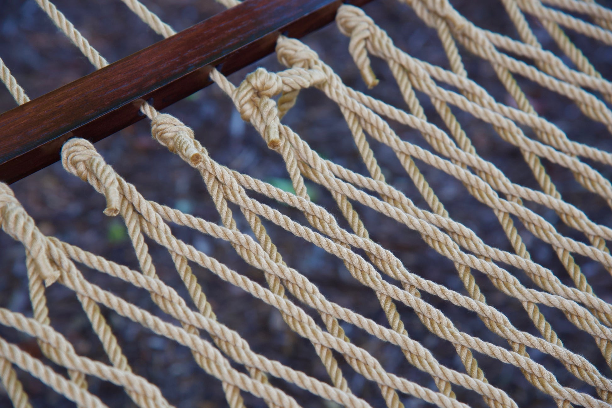 Close view of the varnished wood spreader bar and Tan polyester rope of the Jumbo Rope Hammock.